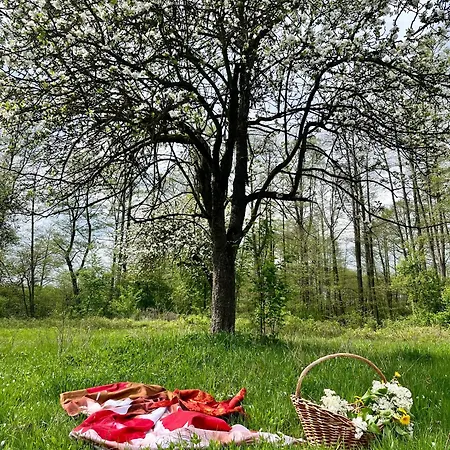 Goscinne Stajnia Dorado-agroturystyka * Leoncin