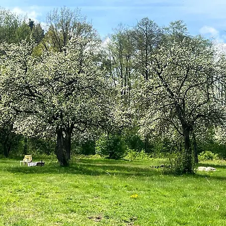 Goscinne Stajnia Dorado-agroturystyka Apartamento *