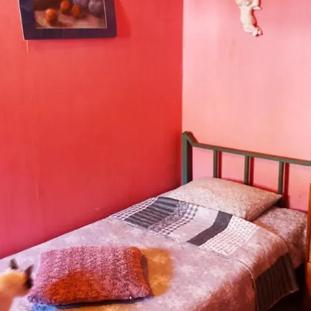 Goscinne Stajnia Dorado-agroturystyka * Leoncin
